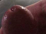Precum Play 13/16