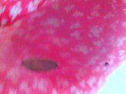 Fat Pig Whore Anippe Want Your Big Cock inside her Wet Pussy Because When She Was Exercise 10/16