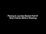 Pissing A Laundry Basket Full Of Dirty Clothes Before Washing 15/16