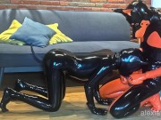 Latex puppies alone T3, Mating - Alex Latex 2/16