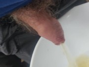 Pissing 4/16