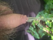 Outdoors desperate piss 10/16