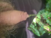 Outdoors desperate piss 13/16