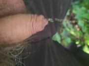 Outdoors desperate piss 15/16
