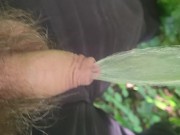 Outdoors desperate piss 6/16
