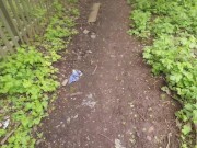 Real Life Asian Succubus Enjoys Her New Prey 3/16