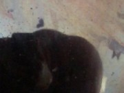 Twerk baby Twerk💋❤️ 12/16