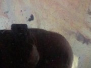 Twerk baby Twerk💋❤️ 13/16