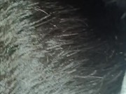 Pareja de aficionados 18+ 7/16