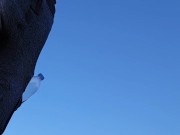 pee during my nature reserve adventure !! 16/16