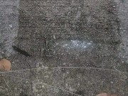 Late night outside piss play 11/16