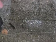 Late night outside piss play 13/16