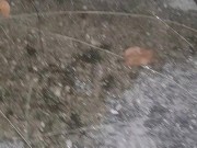 Late night outside piss play 16/16