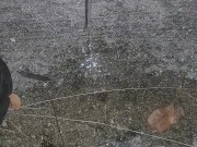 Late night outside piss play 2/16