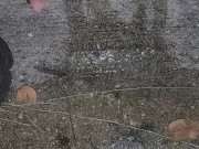 Late night outside piss play 4/16