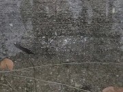 Late night outside piss play 5/16