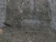 Late night outside piss play 8/16