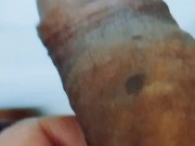 Vídeo curto e piroca longa 2/16