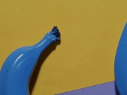 The blue bananas 16/16