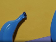 The blue bananas 5/16