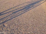 RIDING A BIKE WITHOUT PANTIES MADE ME SO HORNY THAT I CAME RIGHT ON THE ROAD FROM RUBBING MY CLIT AN 4/16