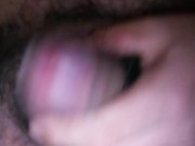 MuestroMiVergaSeTeAntoja 15/16