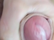 For Single Teachers 15/16