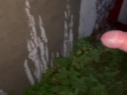 Pee art on a wall 10/16