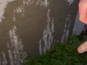 Pee art on a wall 12/16