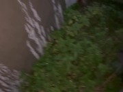 Pee art on a wall 15/16