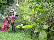 Girl sucking her stepbrother's big cock