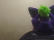 Big fat furry plays with massive belly 10/16