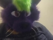 Big fat furry plays with massive belly 12/16