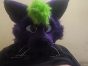 Big fat furry plays with massive belly 15/16