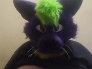 Big fat furry plays with massive belly 3/16