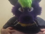 Big fat furry plays with massive belly 4/16