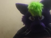 Big fat furry plays with massive belly