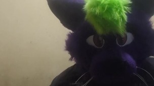 Big fat furry plays with massive belly