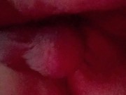 Leylani Wood gets her pussy eaten 6/16