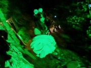 Fudendo a peituda no mato | Fernanda Ribeiro | 2/16