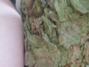 Массажёр для сосков 16/16