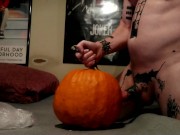 Fan Request; Fucking A Perverted Pumpkin 5/16