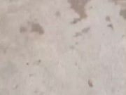 Mostrando mi culo (y tetas) por las calles de Buenos Aires. Amo el exhibicionismo ️ (⁠ ⁠ꈍ⁠ᴗ⁠ꈍ⁠) 8/16