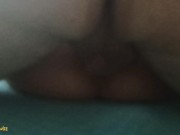 The new bull wants my wife to get pregnant 1/16