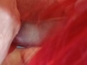 I sucked his dick hard before he fucked me well in the morning 6/16