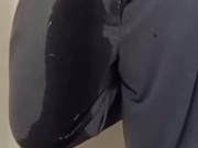 Afternoon Wetting 16/16