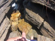 pee on the beach 2024 11/16