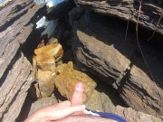 pee on the beach 2024 13/16