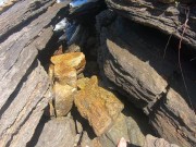 pee on the beach 2024 15/16