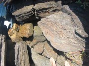 pee on the beach 2024 4/16